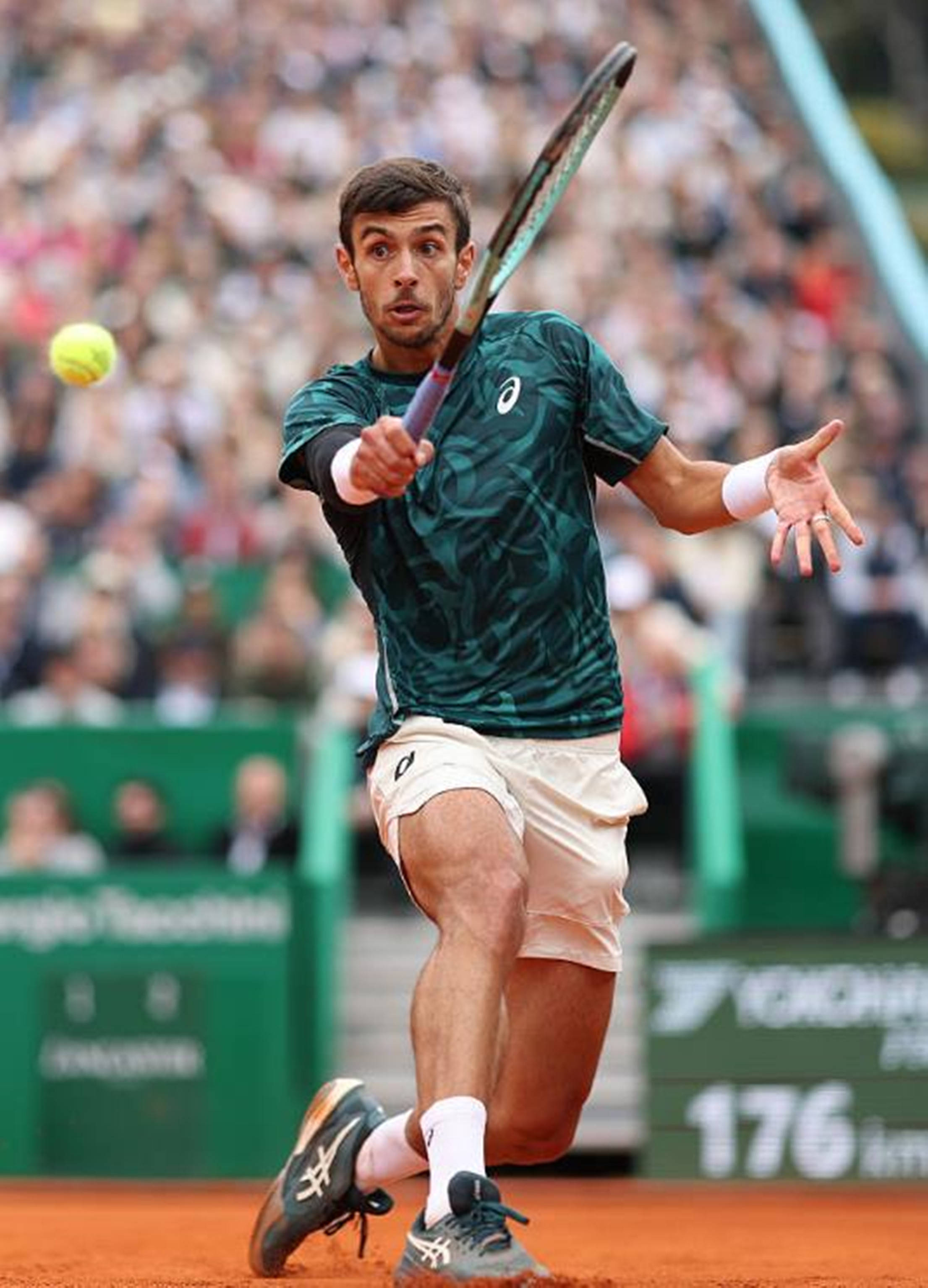 不俗的赵俊 不俗的赵俊